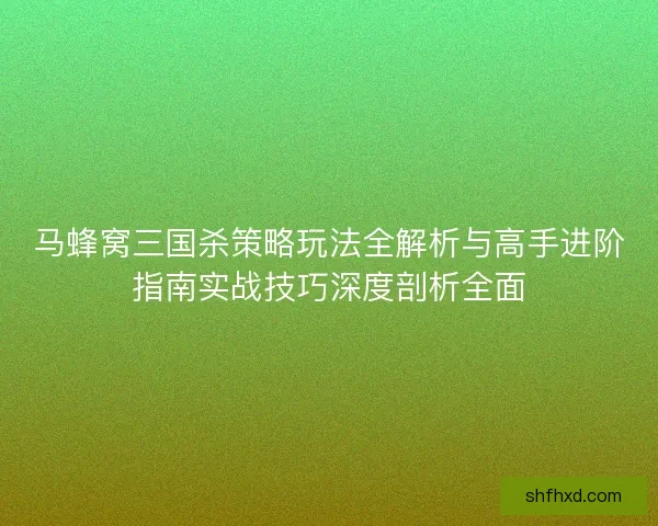 马蜂窝三国杀策略玩法全解析与高手进阶指南实战技巧深度剖析全面