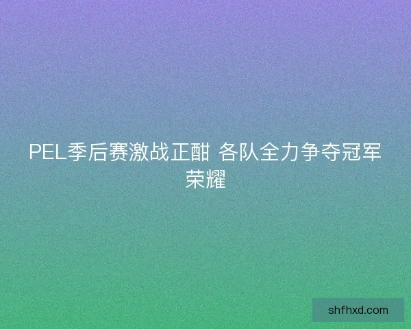 PEL季后赛激战正酣 各队全力争夺冠军荣耀